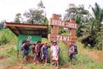 Tawai Forest Reserve